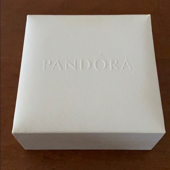 Pandora Other - Pandora Box for a bracelet/necklace and Gift Bag